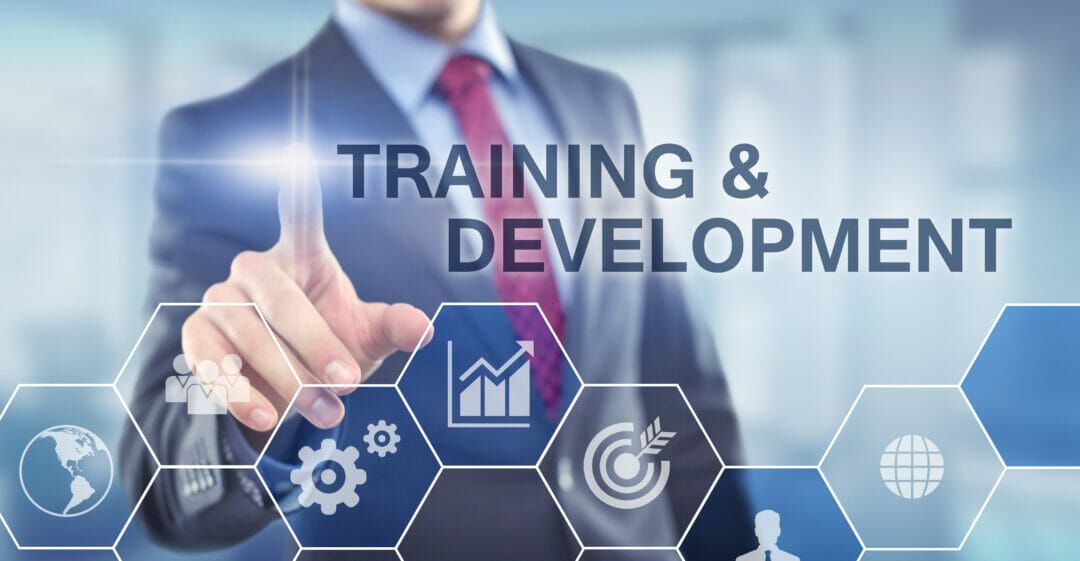 Training and Development